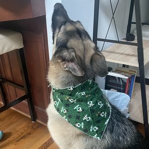 St Patrick’s Day Irish Dog XL green bandana
